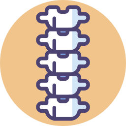 neurocirgugia para columna vertebral