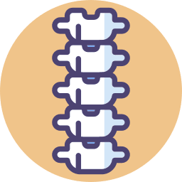 neurocirgugia para columna vertebral